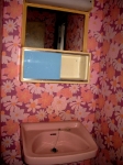 LH pink bathroom